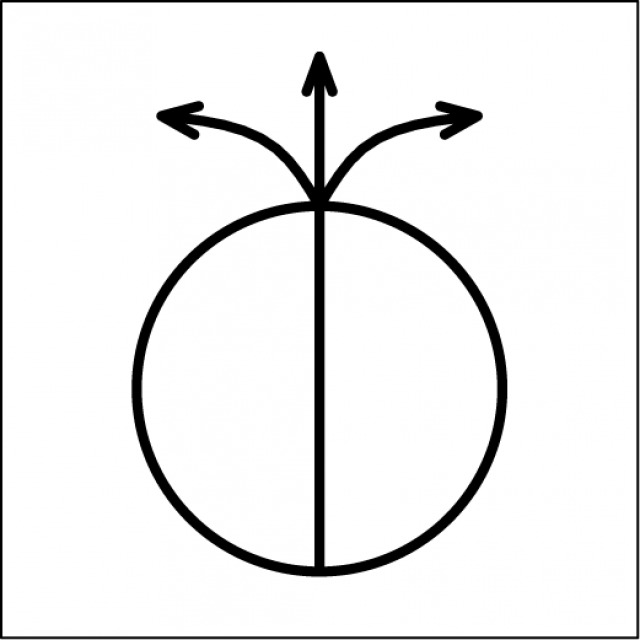 Lebensberatung Runa Runge - Symbol Lebensberatung