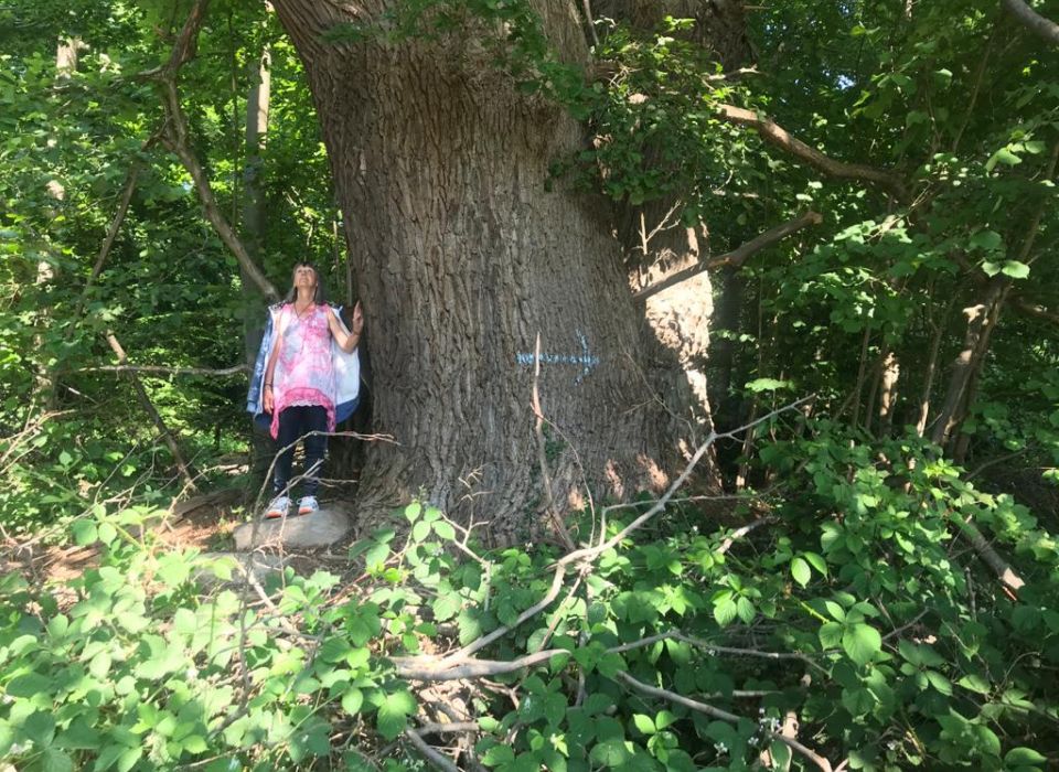 Lebensberatung Runa Runge - Runa Runge am Baum