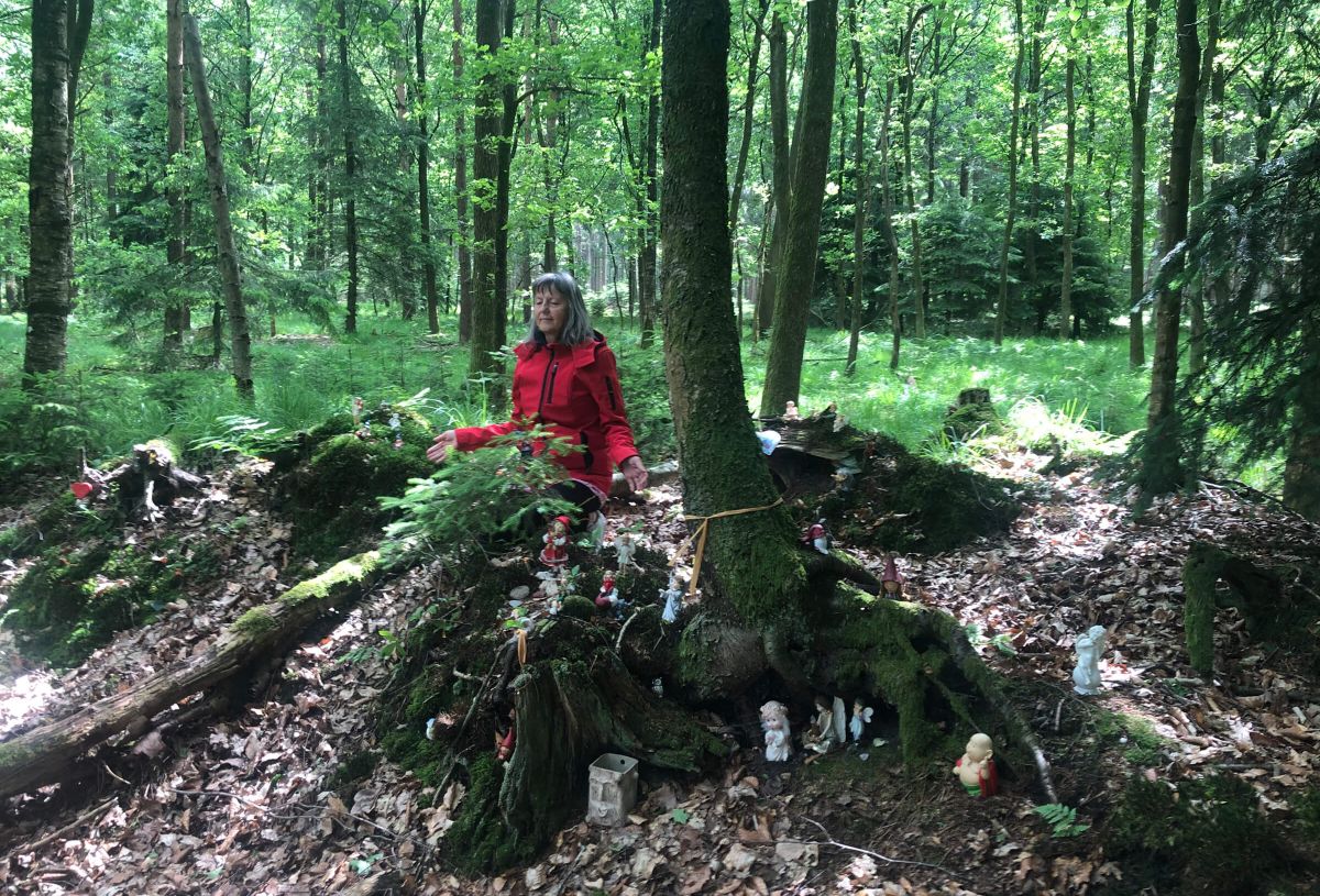 Lebensberatung Runa Runge - Runa Runge Waldmeditation