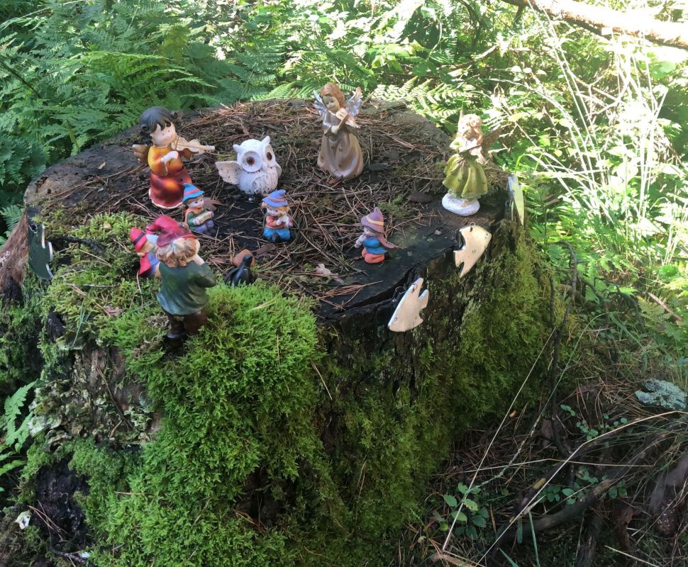 Lebensberatung Runa Runge - Waldort der Ruhe